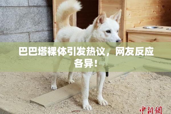 巴巴塔裸体引发热议，网友反应各异！
