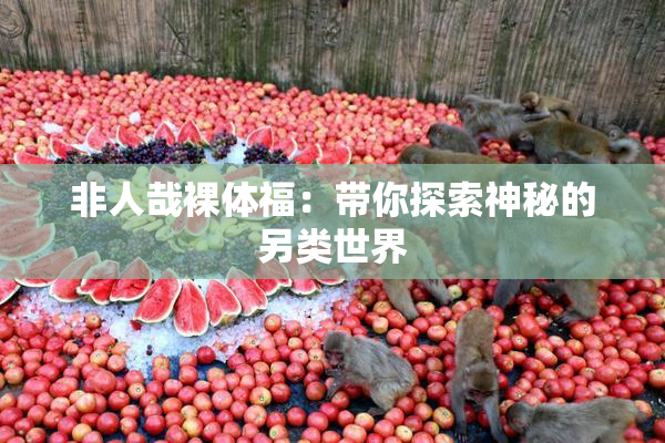 非人哉裸体福：带你探索神秘的另类世界