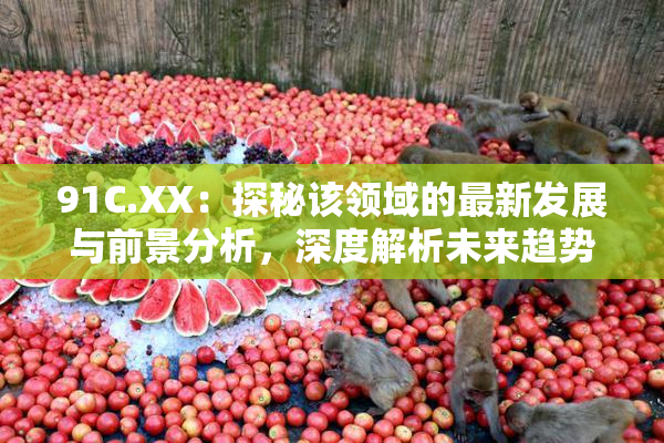 91C.XX：探秘该领域的最新发展与前景分析，深度解析未来趋势！