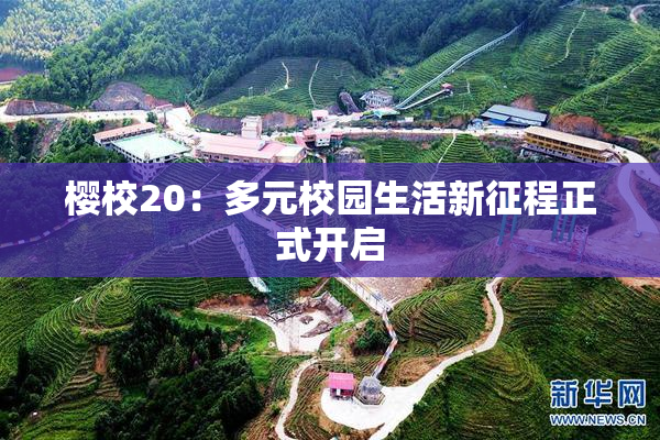 樱校20：多元校园生活新征程正式开启