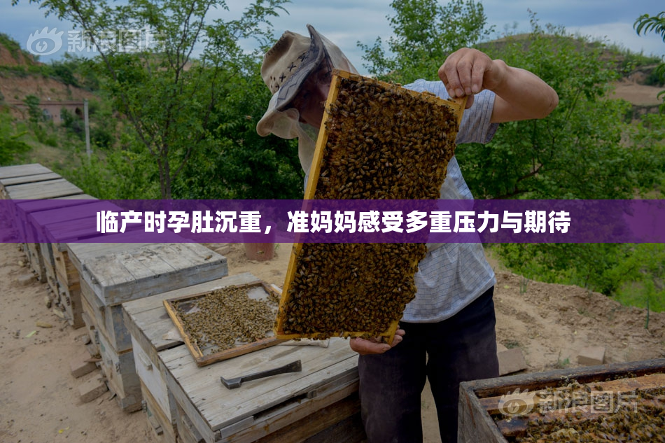 临产时孕肚沉重，准妈妈感受多重压力与期待