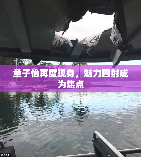 章子怡再度现身，魅力四射成为焦点