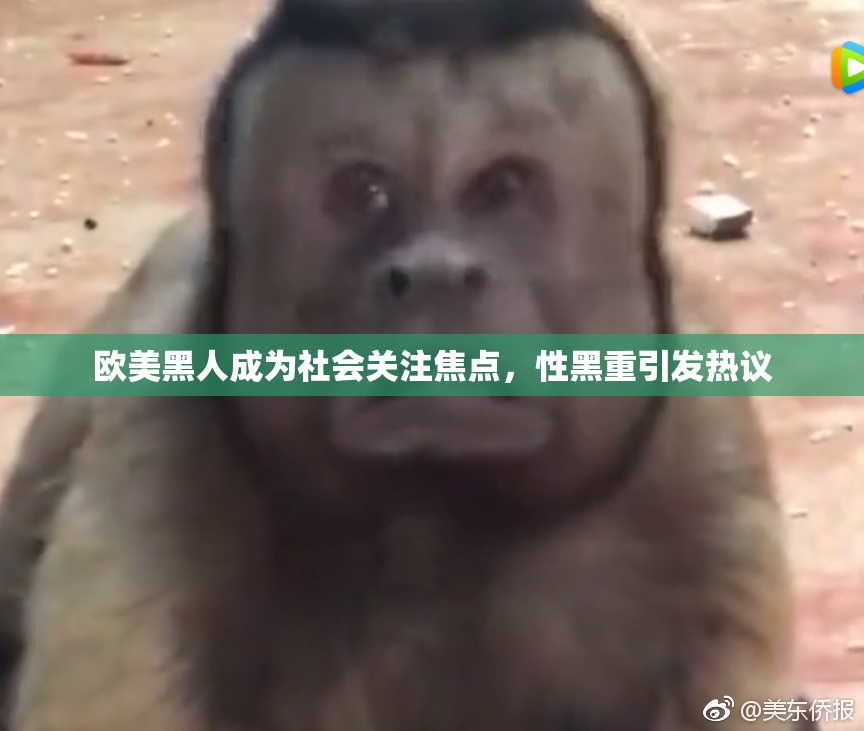 欧美黑人成为社会关注焦点，性黑重引发热议