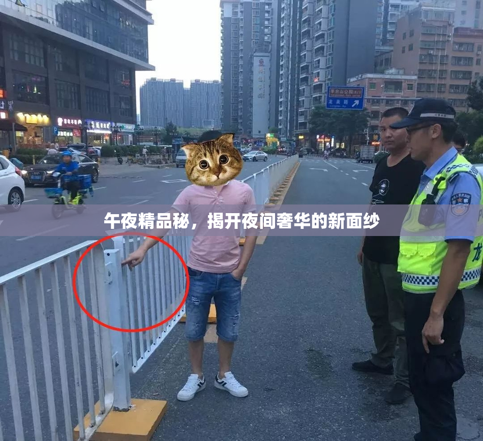 午夜精品秘，揭开夜间奢华的新面纱