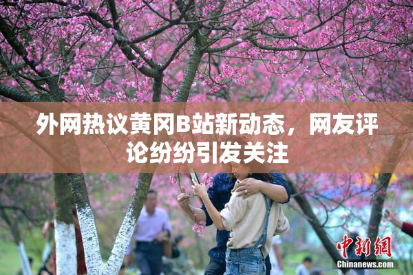 外网热议黄冈B站新动态，网友评论纷纷引发关注