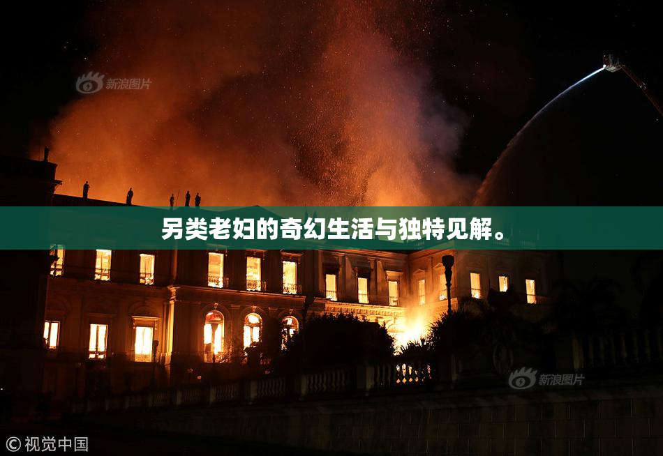 另类老妇的奇幻生活与独特见解。