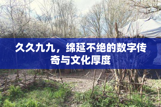 久久九九，绵延不绝的数字传奇与文化厚度