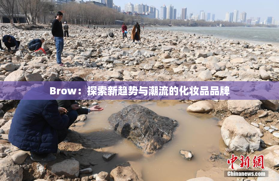 Brow：探索新趋势与潮流的化妆品品牌