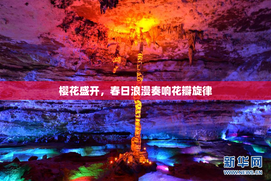 樱花盛开，春日浪漫奏响花瓣旋律