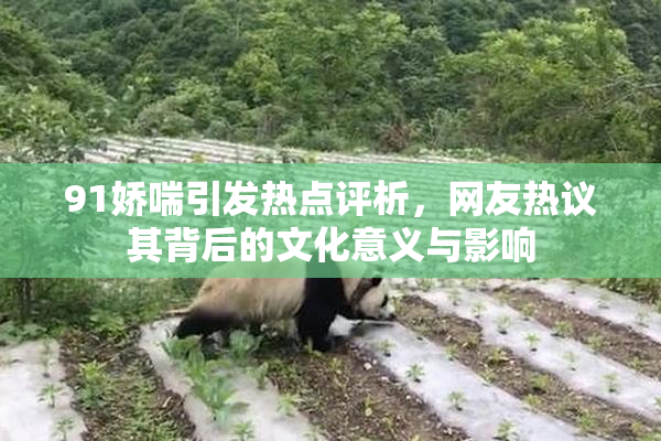 91娇喘引发热点评析，网友热议其背后的文化意义与影响