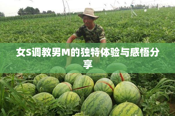 女S调教男M的独特体验与感悟分享