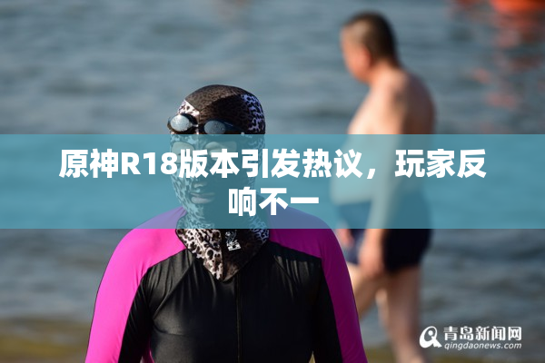原神R18版本引发热议，玩家反响不一