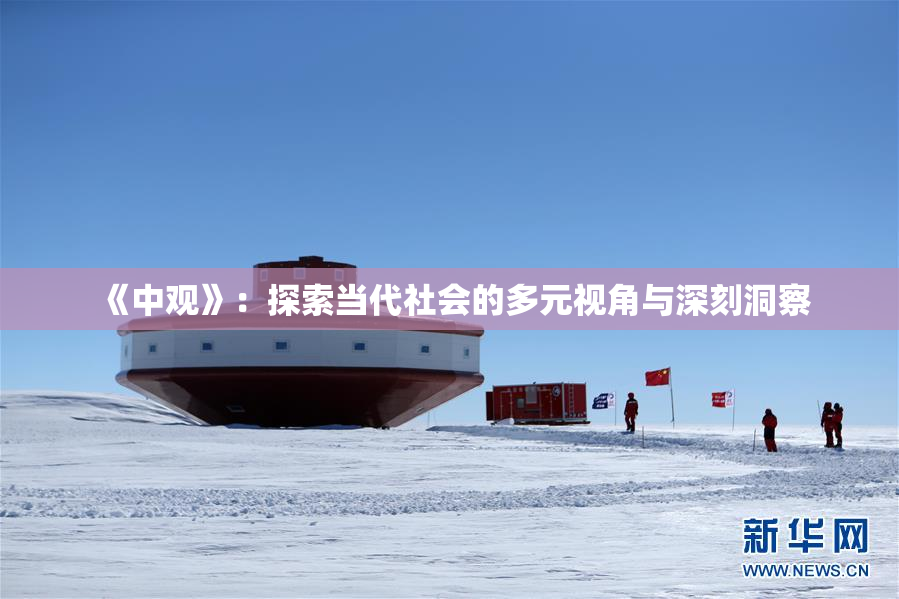 《中观》：探索当代社会的多元视角与深刻洞察