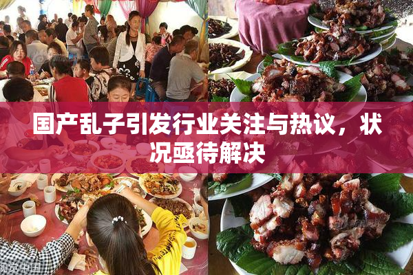 国产乱子引发行业关注与热议，状况亟待解决