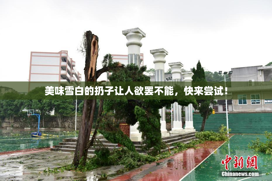 美味雪白的扔子让人欲罢不能，快来尝试！