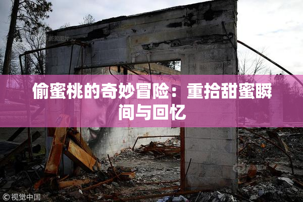 偷蜜桃的奇妙冒险：重拾甜蜜瞬间与回忆