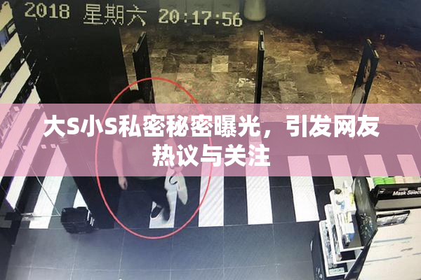 大S小S私密秘密曝光，引发网友热议与关注