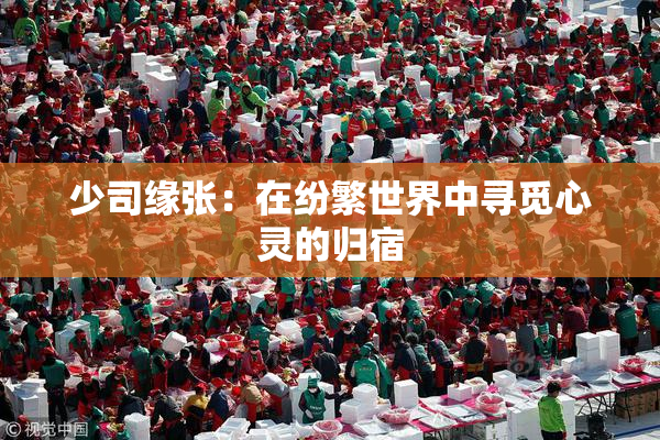 少司缘张：在纷繁世界中寻觅心灵的归宿