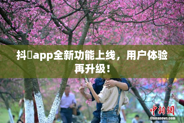 抖抈app全新功能上线，用户体验再升级！