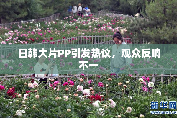 日韩大片PP引发热议，观众反响不一