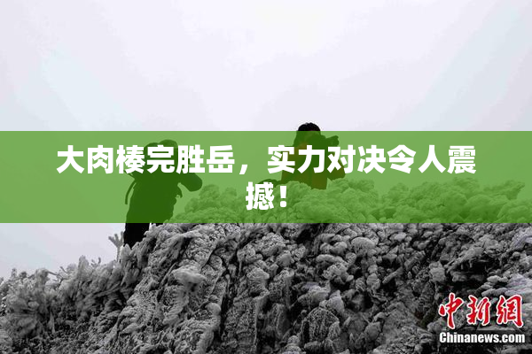 大肉楱完胜岳，实力对决令人震撼！