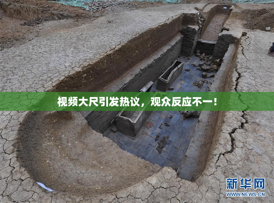 视频大尺引发热议，观众反应不一！