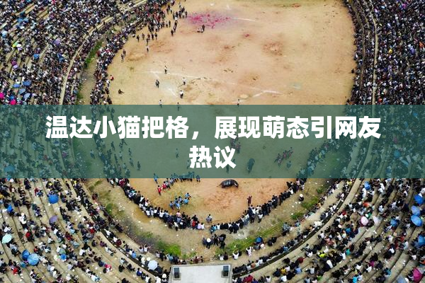 温达小猫把格，展现萌态引网友热议