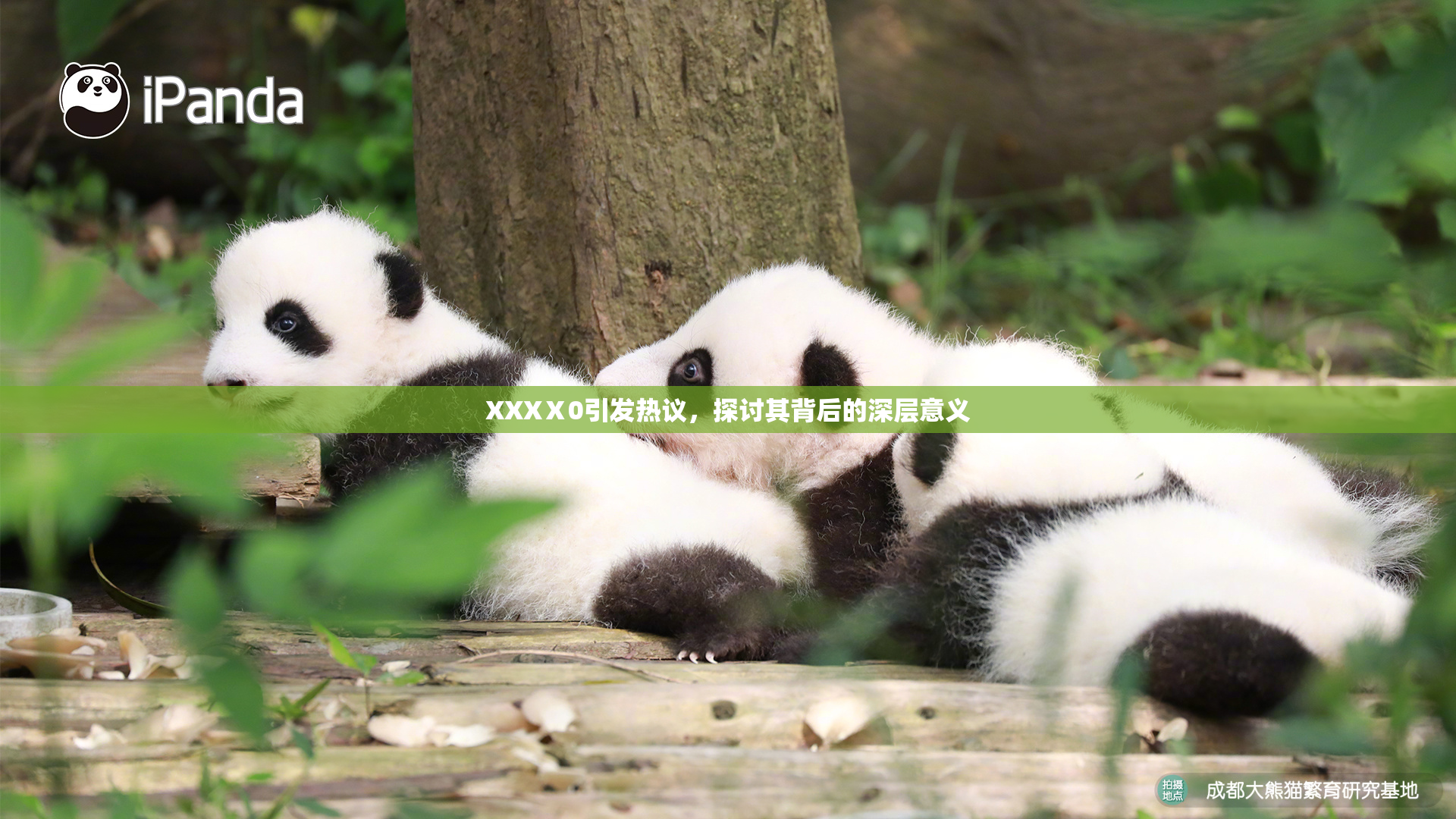 XXXⅩ0引发热议，探讨其背后的深层意义