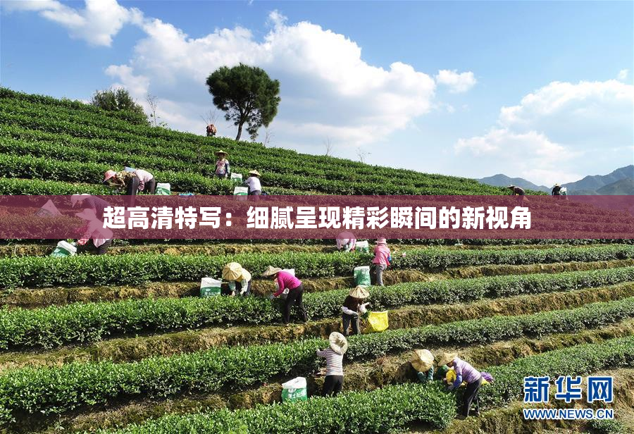 超高清特写：细腻呈现精彩瞬间的新视角