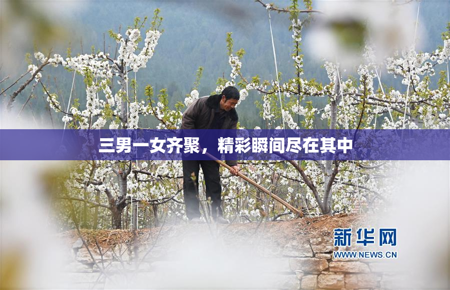 三男一女齐聚，精彩瞬间尽在其中