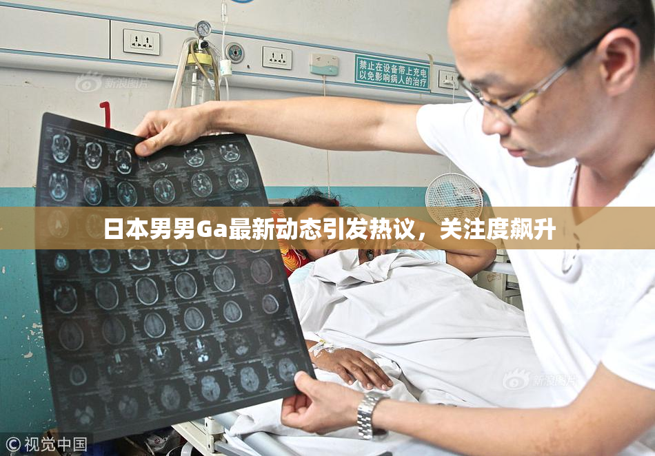 日本男男Ga最新动态引发热议，关注度飙升