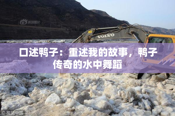 口述鸭子：重述我的故事，鸭子传奇的水中舞蹈