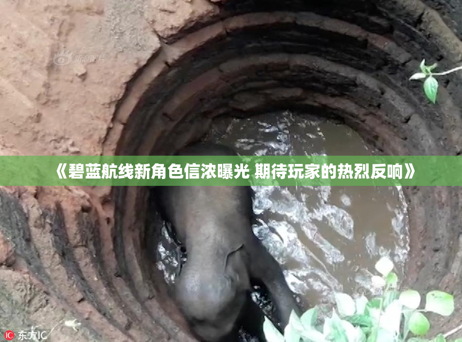 《碧蓝航线新角色信浓曝光 期待玩家的热烈反响》
