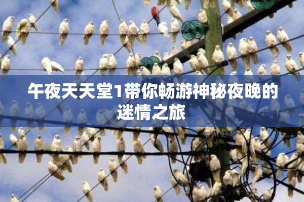 午夜天天堂1带你畅游神秘夜晚的迷情之旅