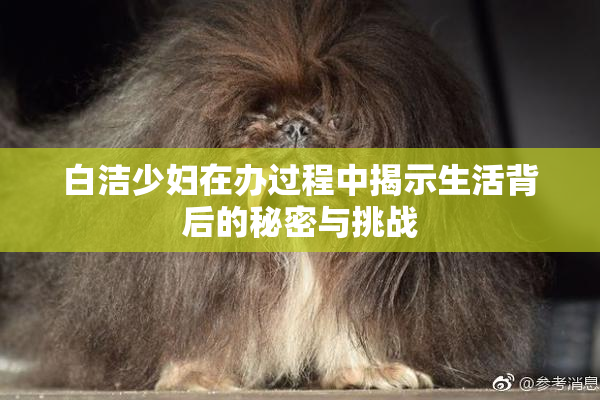 白洁少妇在办过程中揭示生活背后的秘密与挑战