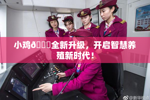 小鸡🐔全新升级，开启智慧养殖新时代！