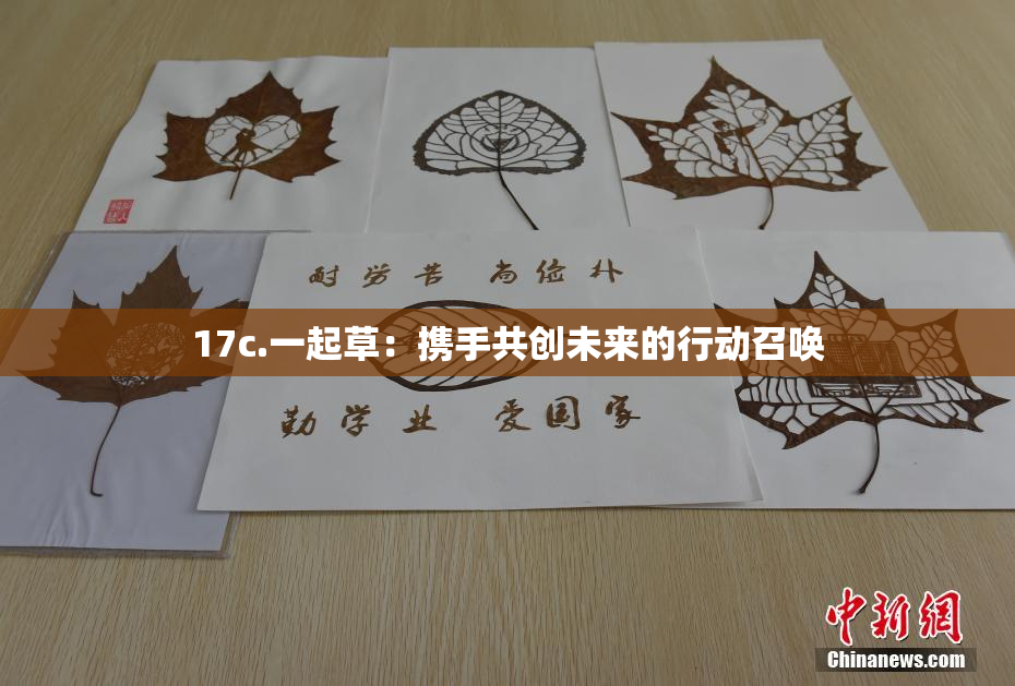 17c.一起草：携手共创未来的行动召唤