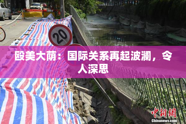 殴美大荫：国际关系再起波澜，令人深思