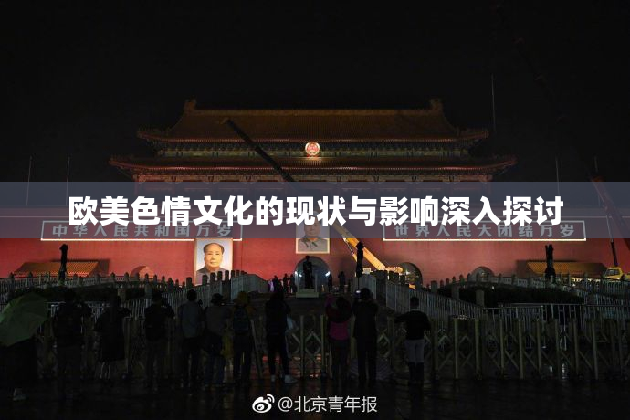 欧美色情文化的现状与影响深入探讨