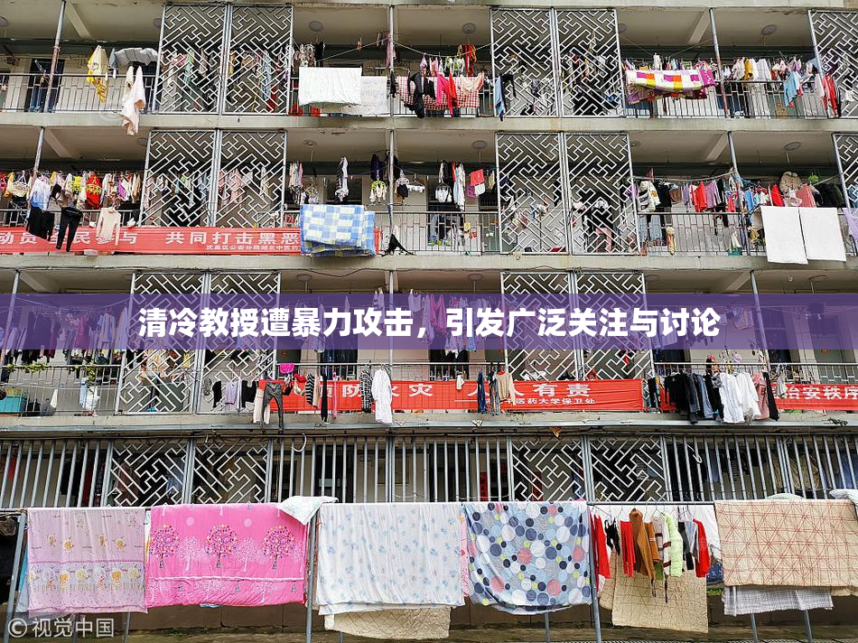 清冷教授遭暴力攻击，引发广泛关注与讨论