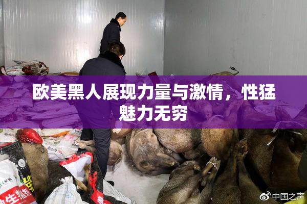 欧美黑人展现力量与激情，性猛魅力无穷