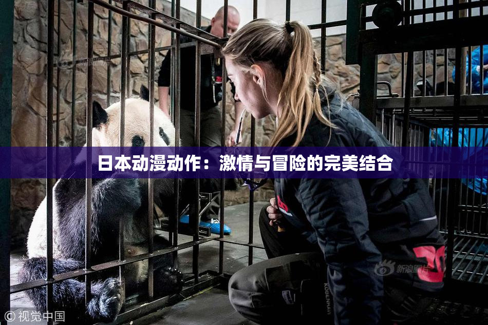 日本动漫动作：激情与冒险的完美结合