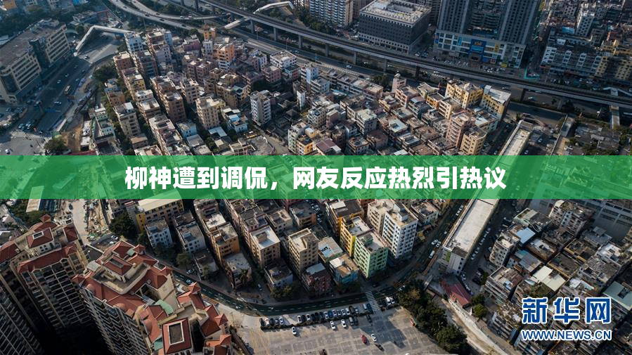 柳神遭到调侃，网友反应热烈引热议