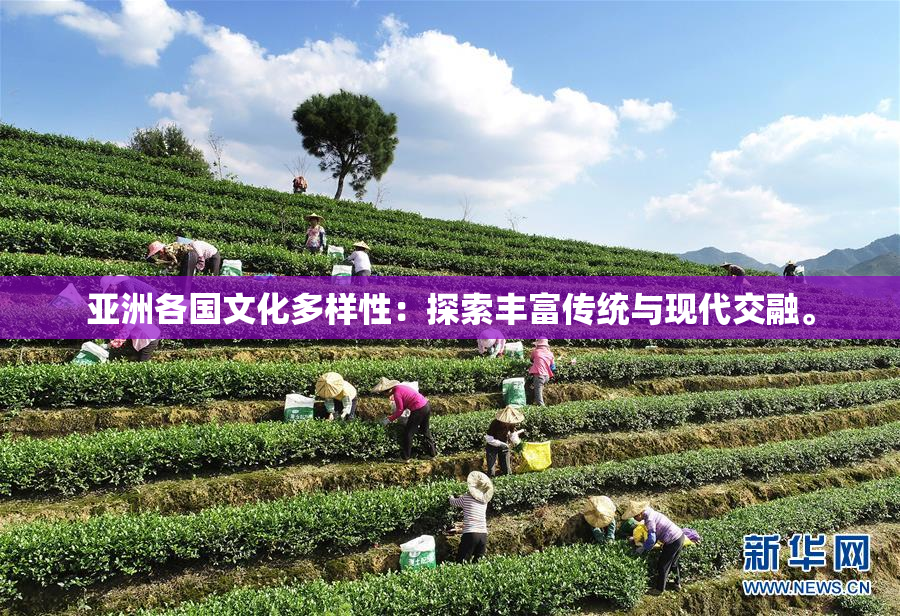 亚洲各国文化多样性：探索丰富传统与现代交融。
