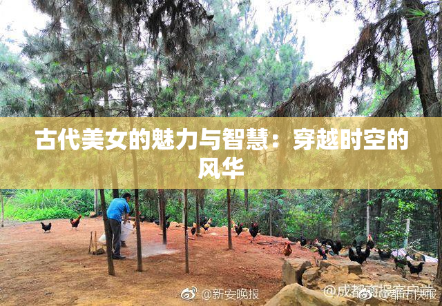 古代美女的魅力与智慧：穿越时空的风华