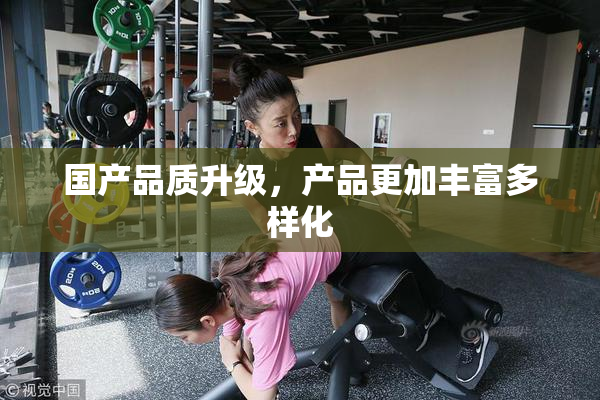 国产品质升级，产品更加丰富多样化