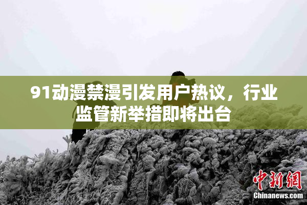 91动漫禁漫引发用户热议，行业监管新举措即将出台
