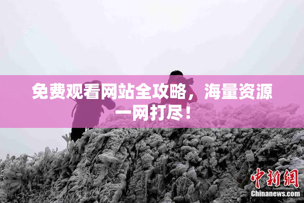 免费观看网站全攻略，海量资源一网打尽！