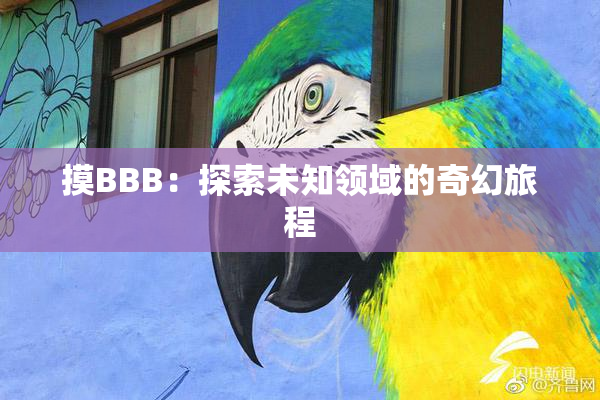 摸BBB：探索未知领域的奇幻旅程