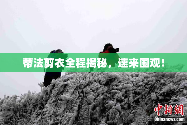 蒂法剪衣全程揭秘，速来围观！